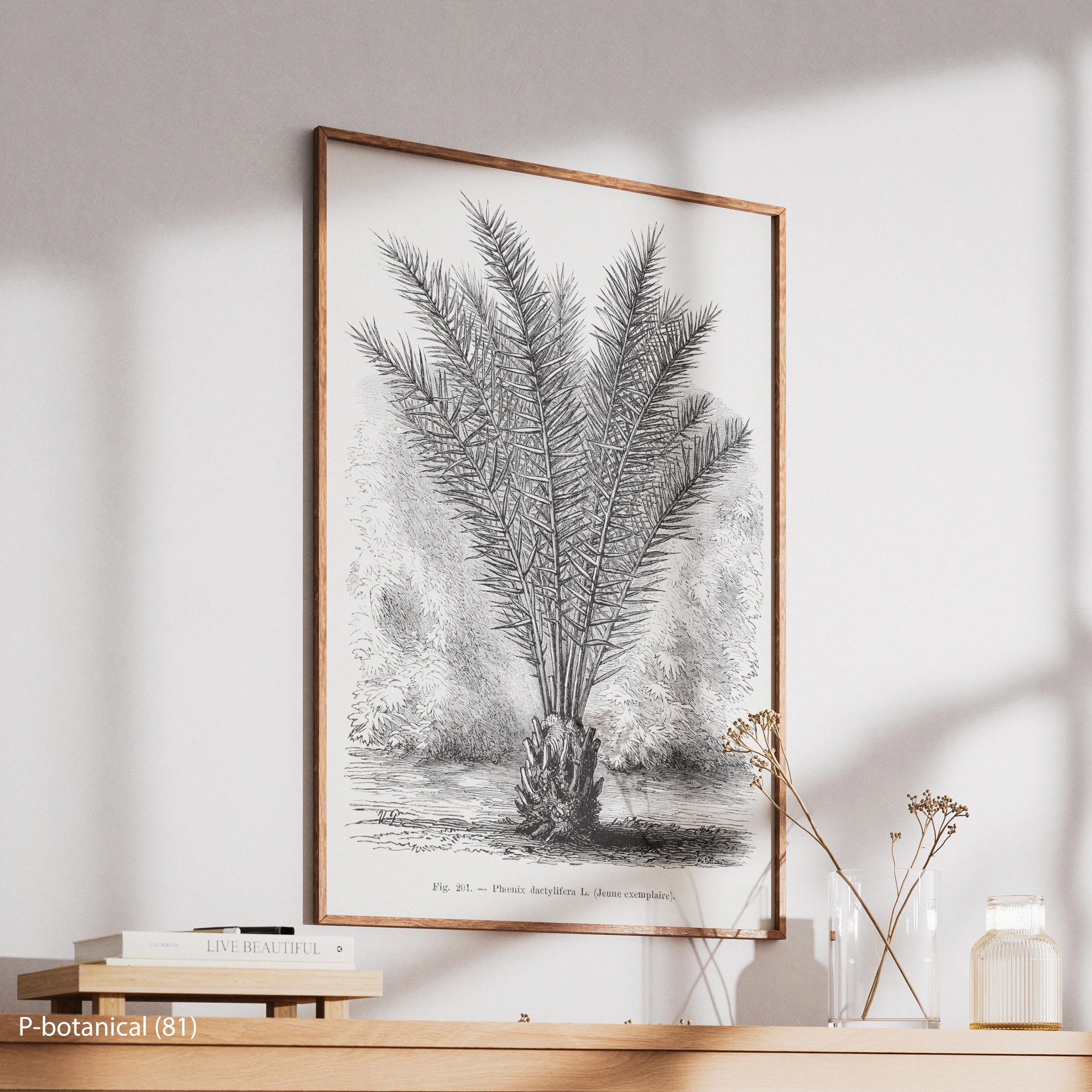 Palm Botanical Study Wall Art Canvas Print Modern Natural History Illustration Minimal Decor Wood Frame